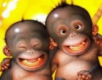 dinh555's Avatar