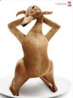 co_vit's Avatar