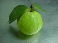 Guava's Avatar