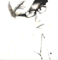 anhveday's Avatar