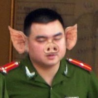 Người hâm mộ's Avatar