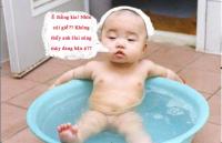 quochai77's Avatar