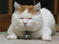 taotung's Avatar